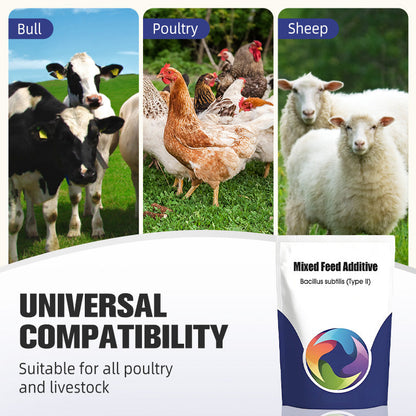 Probiotic & Enzyme Feed Additive