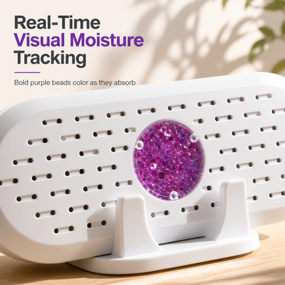 Mini Reusable Household Dehumidifier