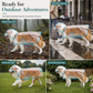 🌧️ LIMITED-TIME 50% OFF! 🐾 Transparent Waterproof Dog Raincoat – Clear Hood, Adjustable Fit, Multi-size 🐶